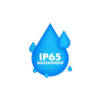 IP 65