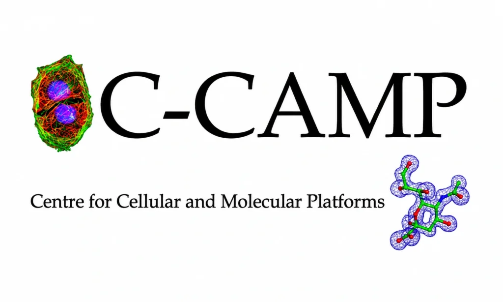 C-Camp