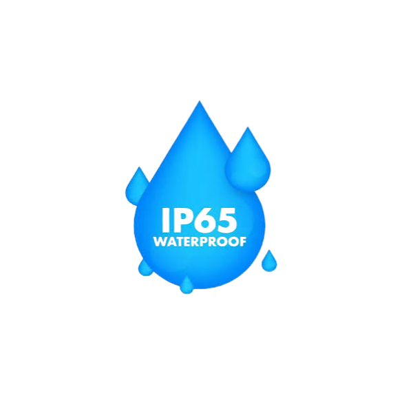 IP65
